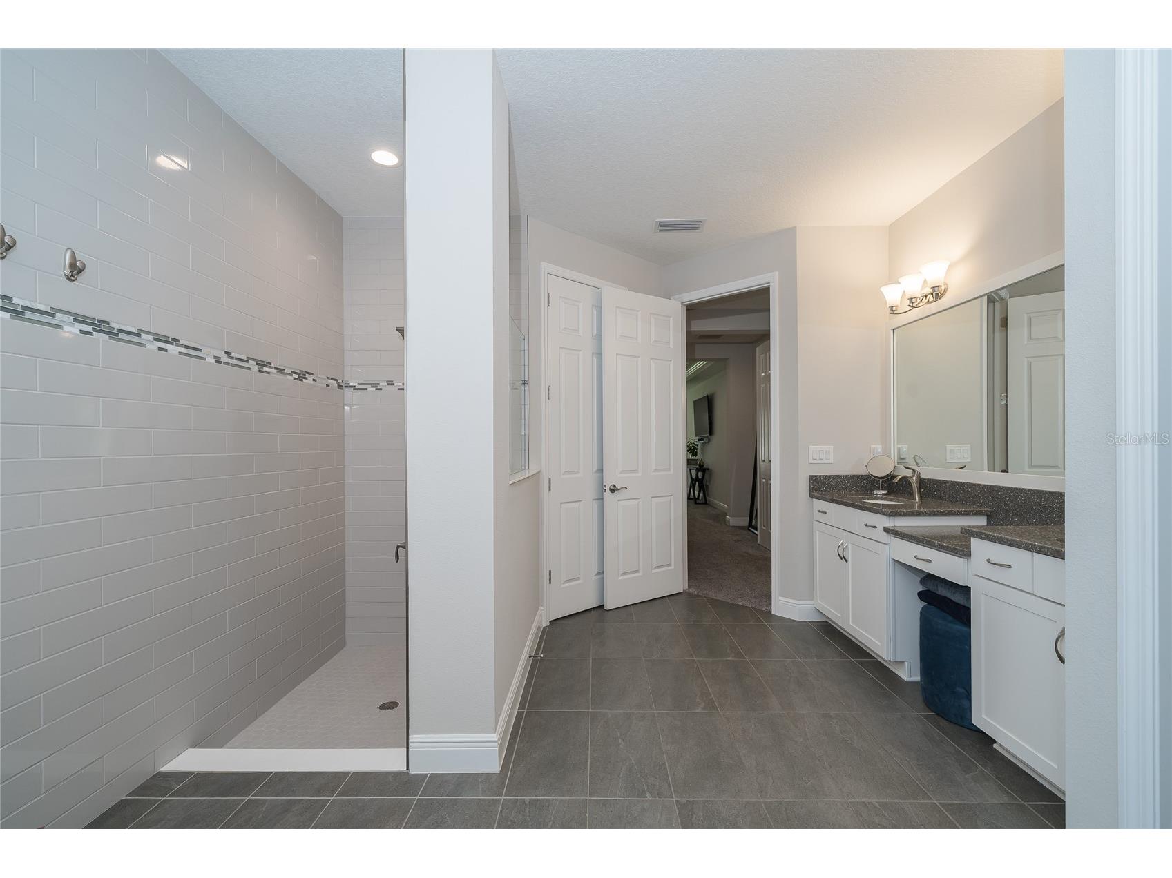 8687 Birchleaf Court Court Land O Lakes FL 34637 TB8519580 image47