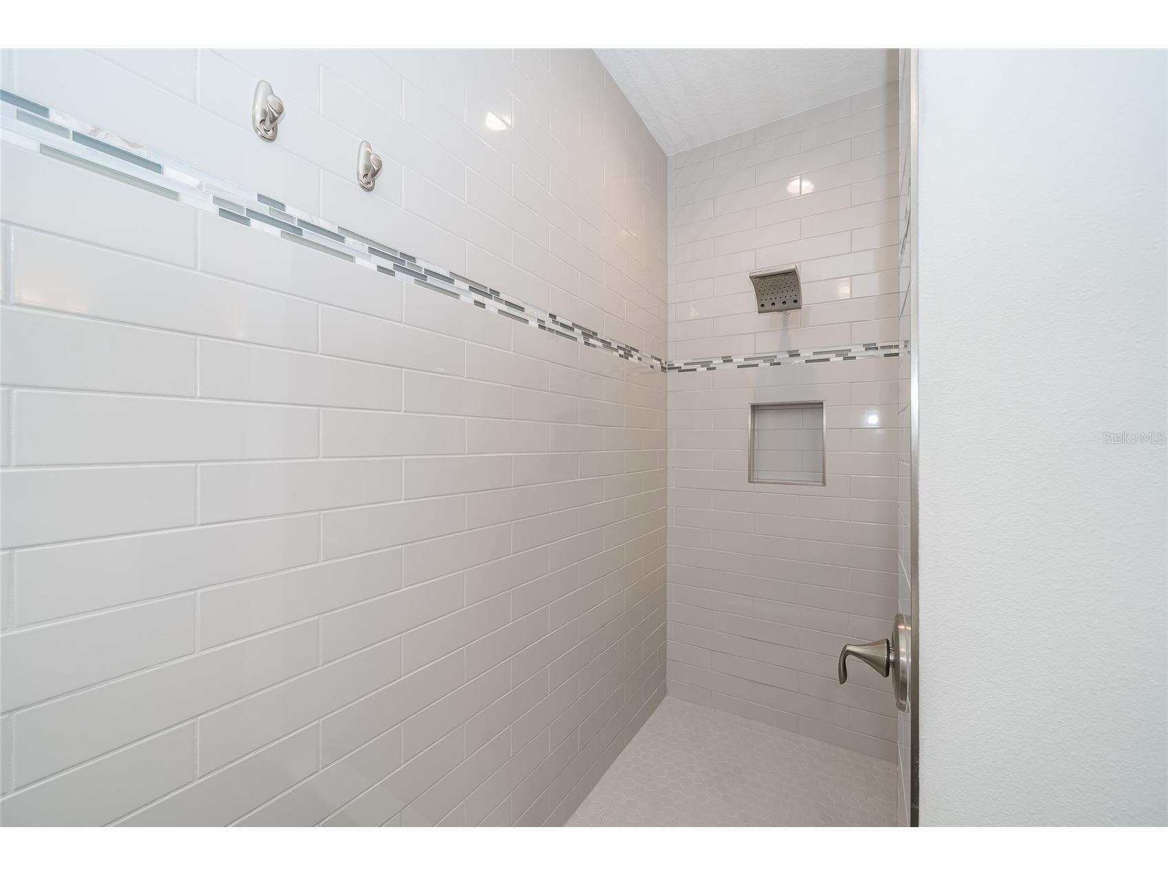 8687 Birchleaf Court Court Land O Lakes FL 34637 TB8519580 image48