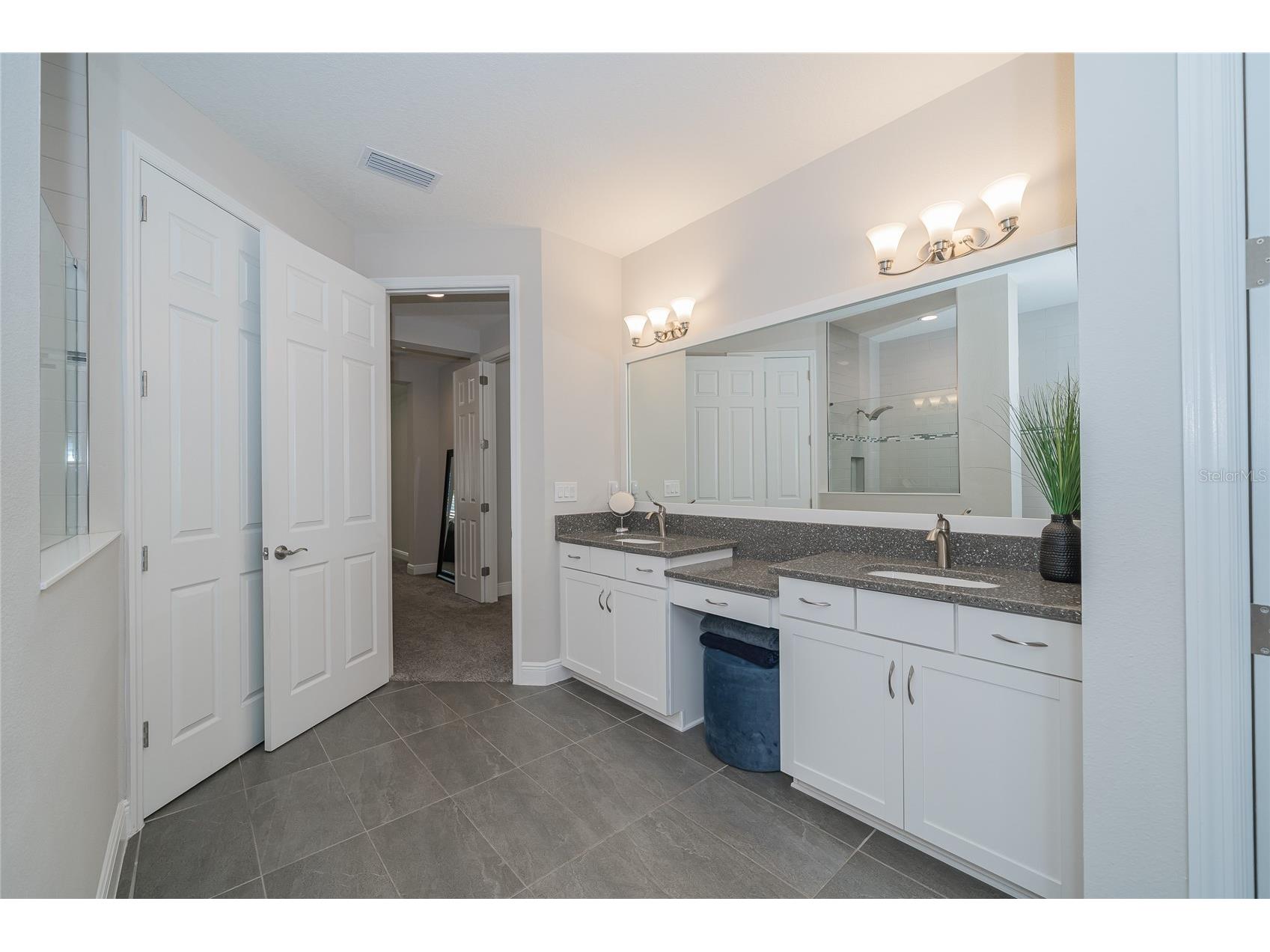 8687 Birchleaf Court Court Land O Lakes FL 34637 TB8519580 image49