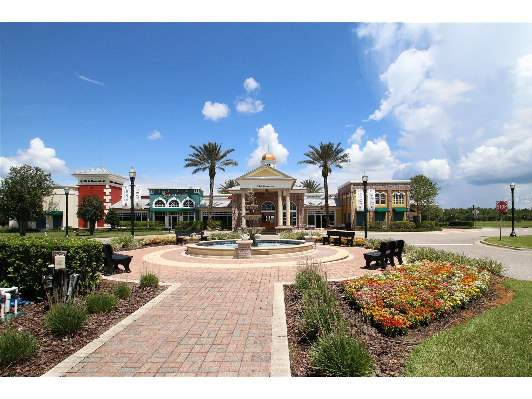 8687 Birchleaf Court Court Land O Lakes FL 34637 TB8519580 image58