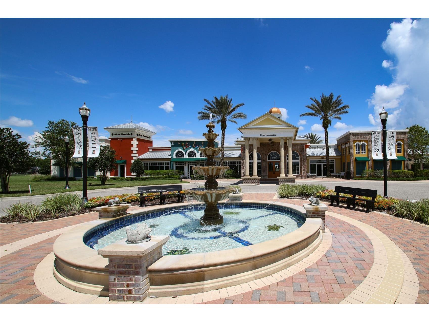 8687 Birchleaf Court Court Land O Lakes FL 34637 TB8519580 image59