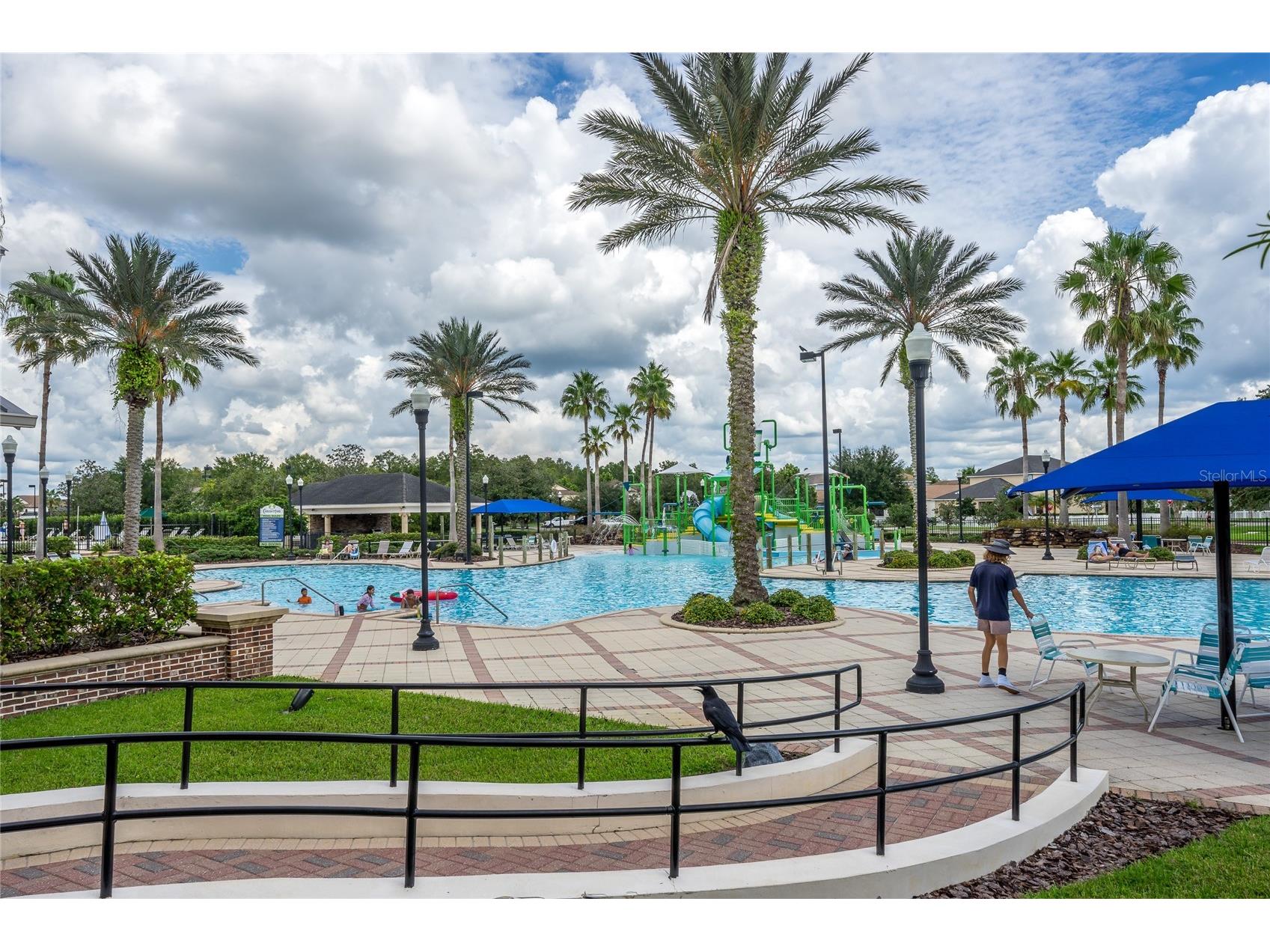 8687 Birchleaf Court Court Land O Lakes FL 34637 TB8519580 image60