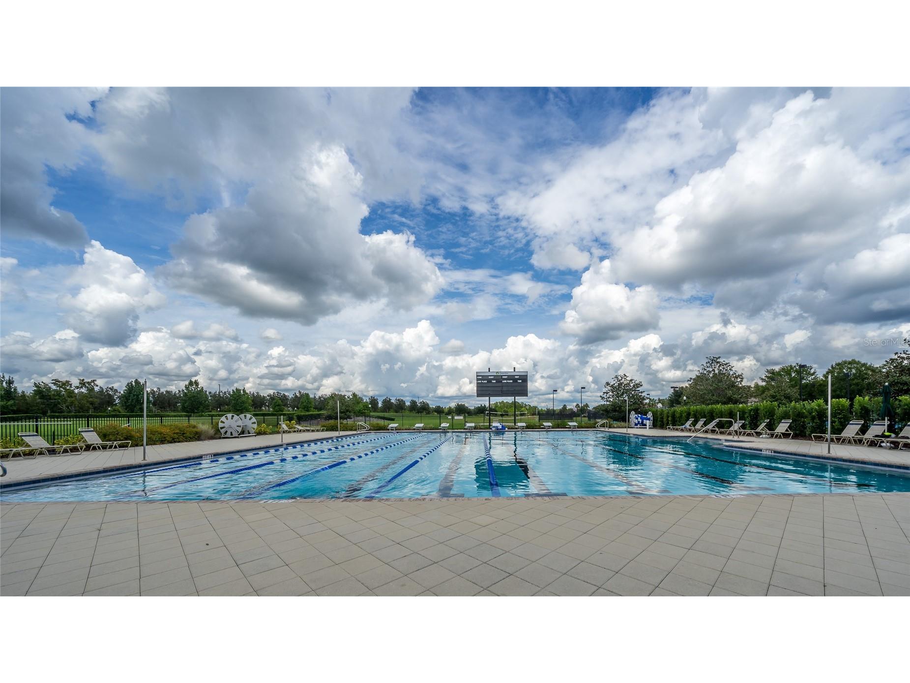 8687 Birchleaf Court Court Land O Lakes FL 34637 TB8519580 image61