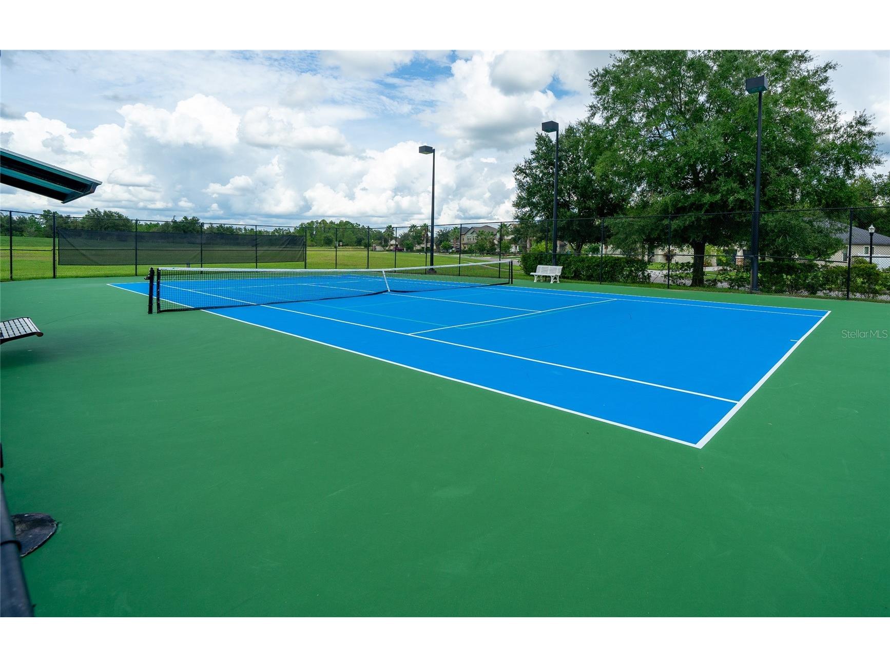 8687 Birchleaf Court Court Land O Lakes FL 34637 TB8519580 image73