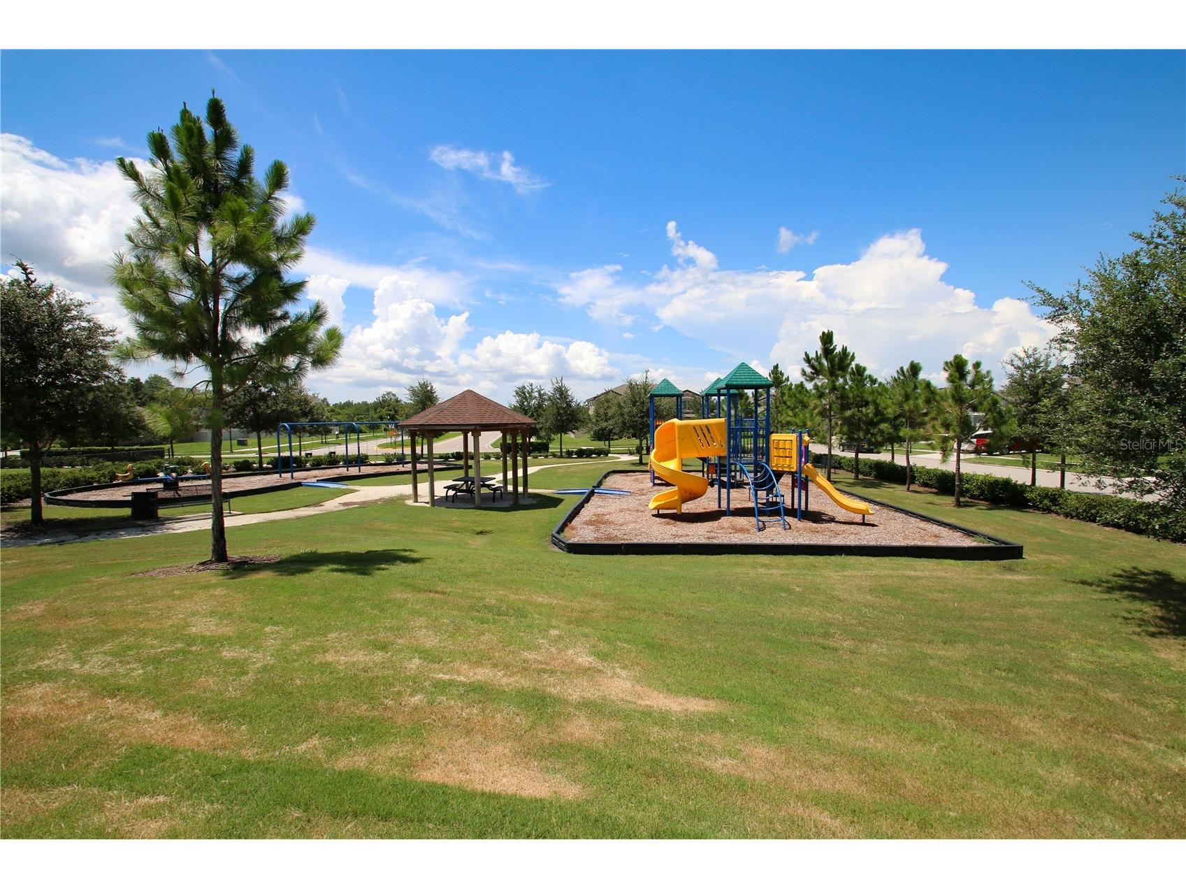 8687 Birchleaf Court Court Land O Lakes FL 34637 TB8519580 image75