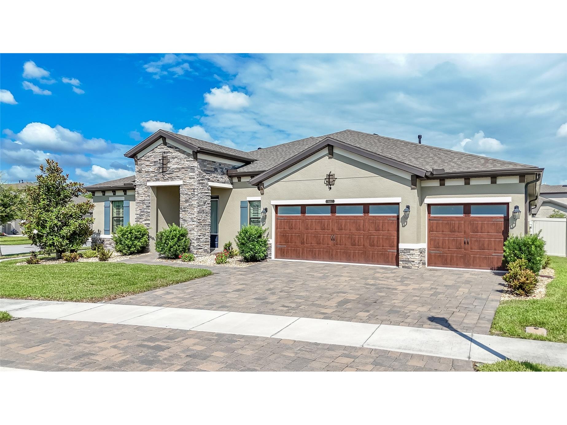 8687 Birchleaf Court Court Land O Lakes FL 34637 TB8519580 image78