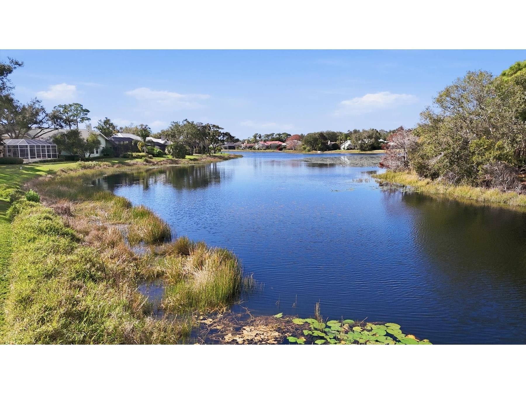 8687 Woodbriar Drive Sarasota FL 34238 A4677032 image50