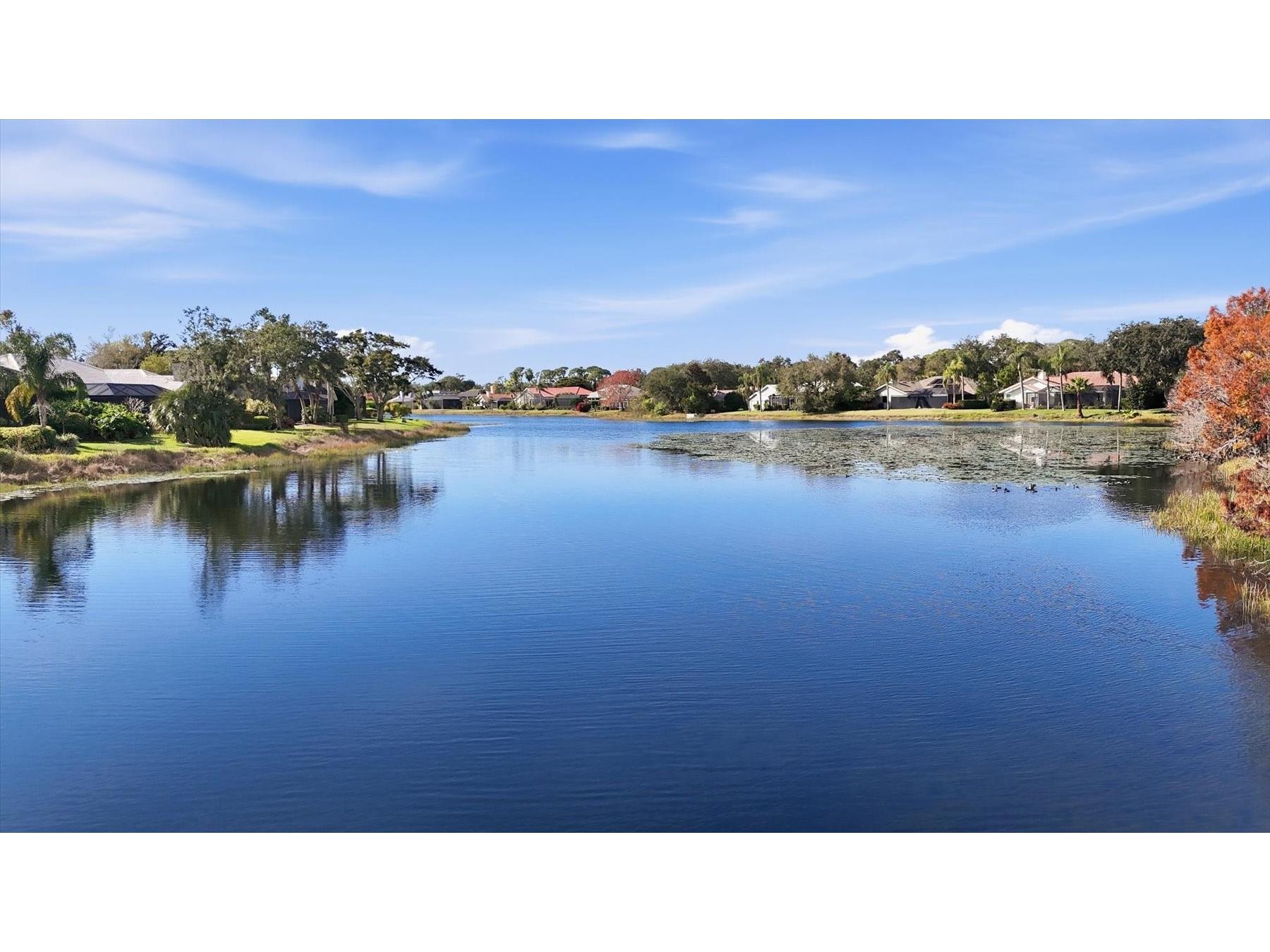 8687 Woodbriar Drive Sarasota FL 34238 A4677032 image51