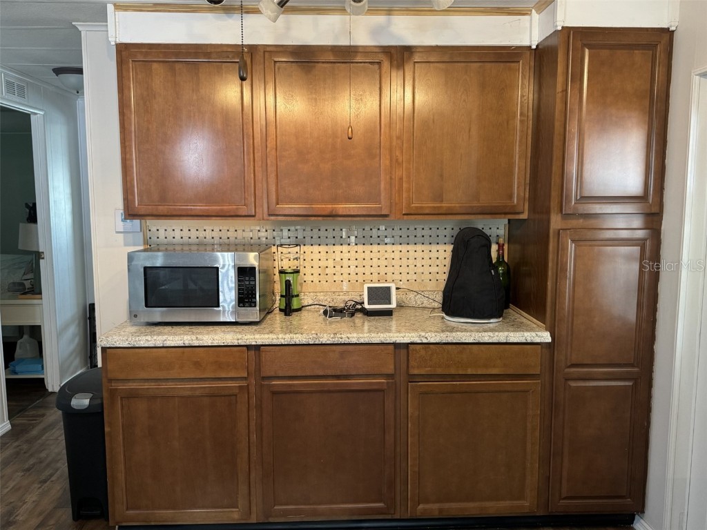 8689 Breeze Hill Drive Lake Wales FL 33898 - LAKE WALK IN WATER P4934253 image16