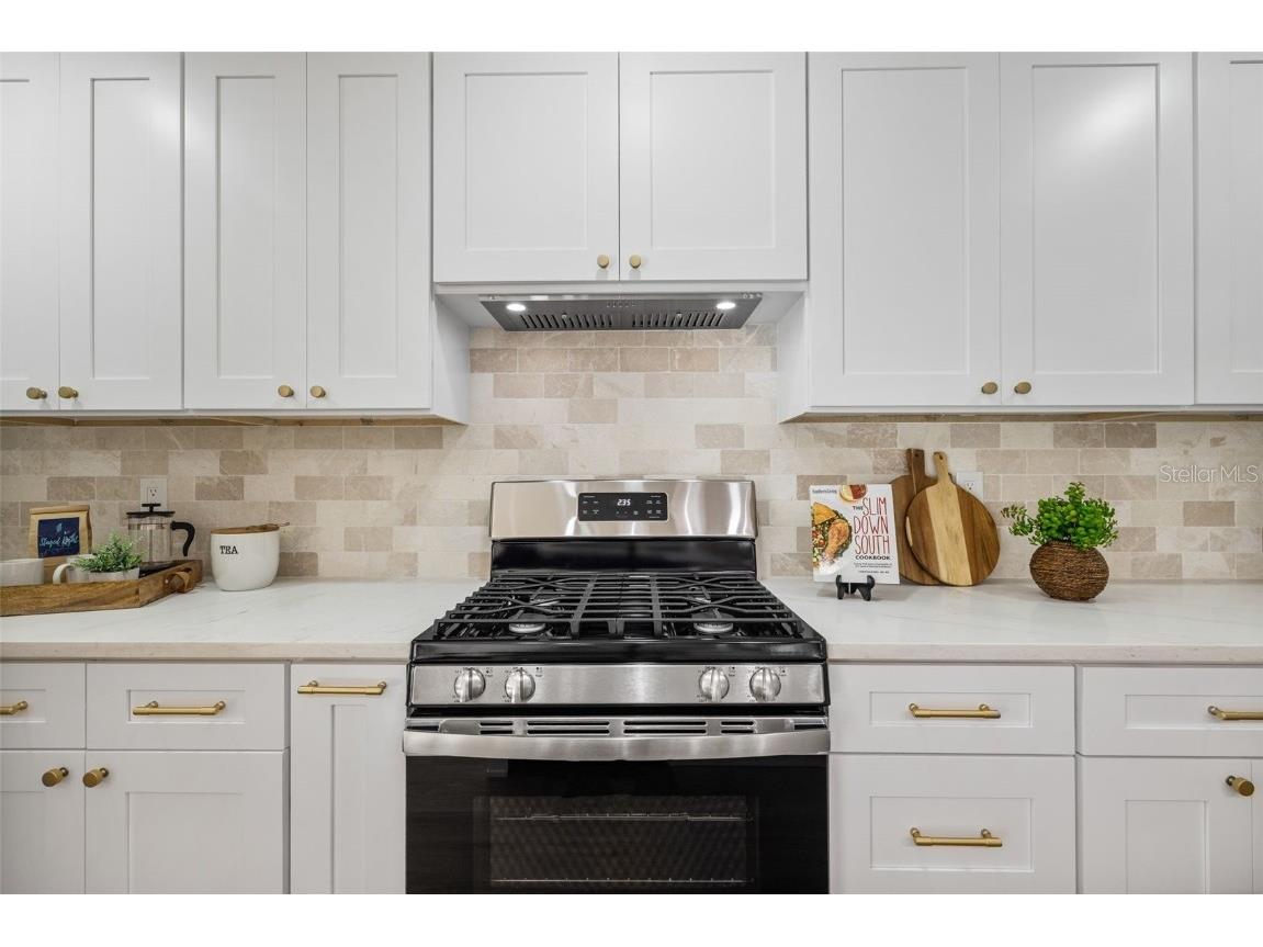 869 Deville Drive E Largo FL 33771 TB8447913 image10