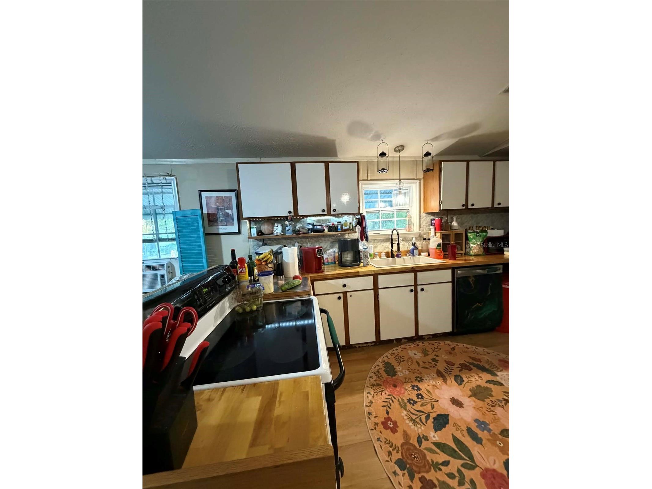 8690 NW 160th Street Trenton FL 32693 OM721335 image3