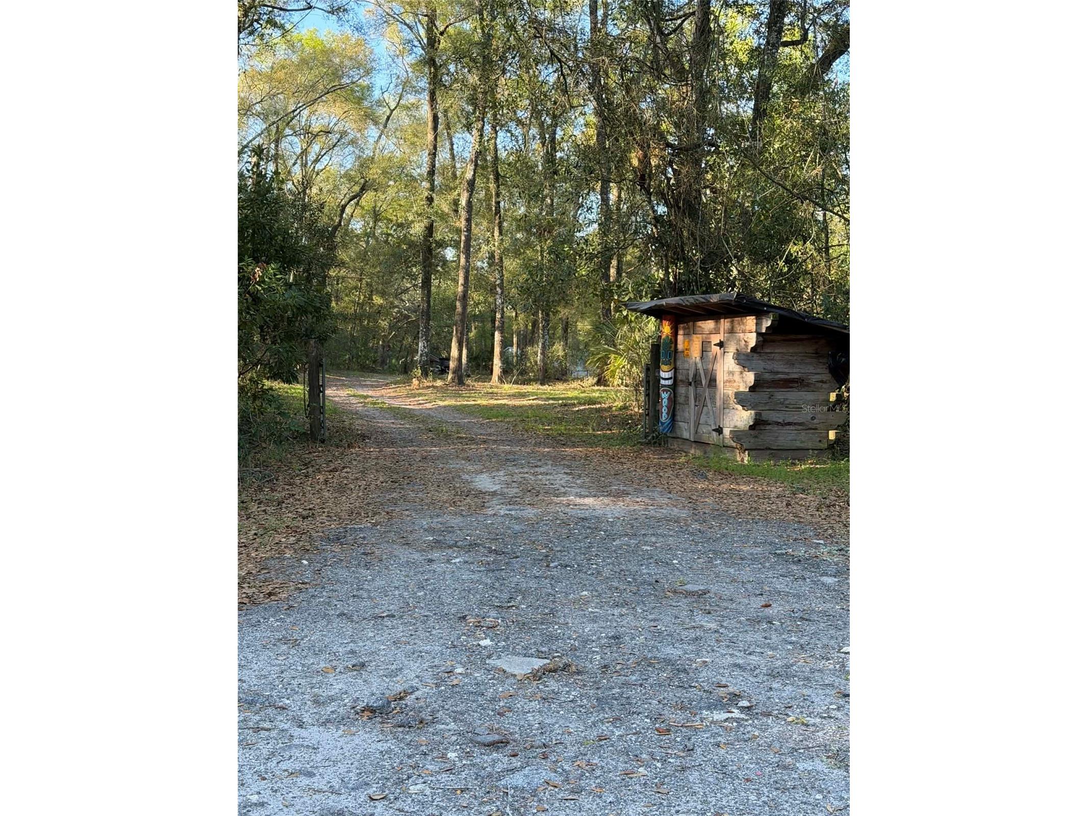 8690 NW 160th Street Trenton FL 32693 OM721335 image8
