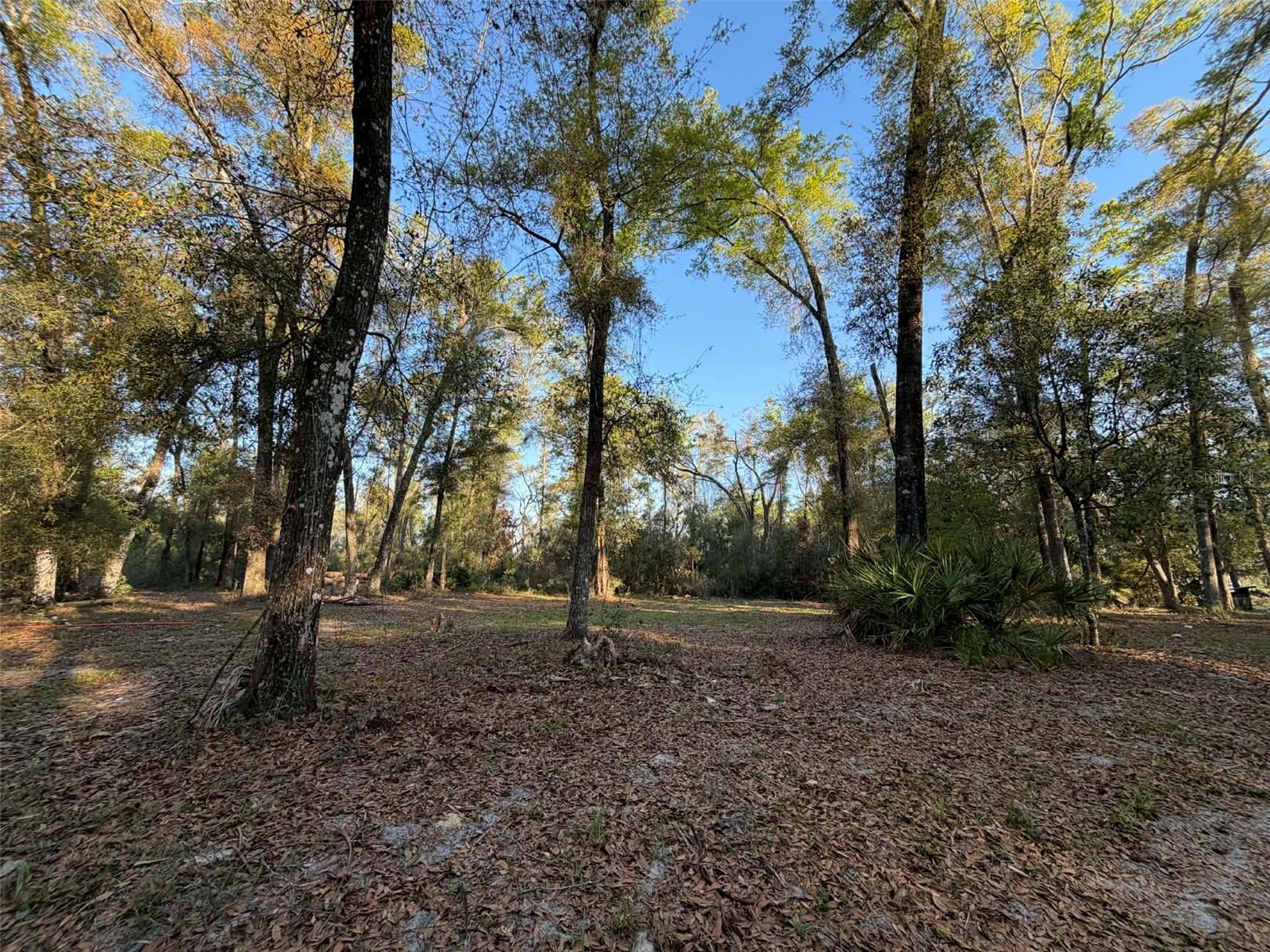 8690 NW 160th Street Trenton FL 32693 OM721335 image9