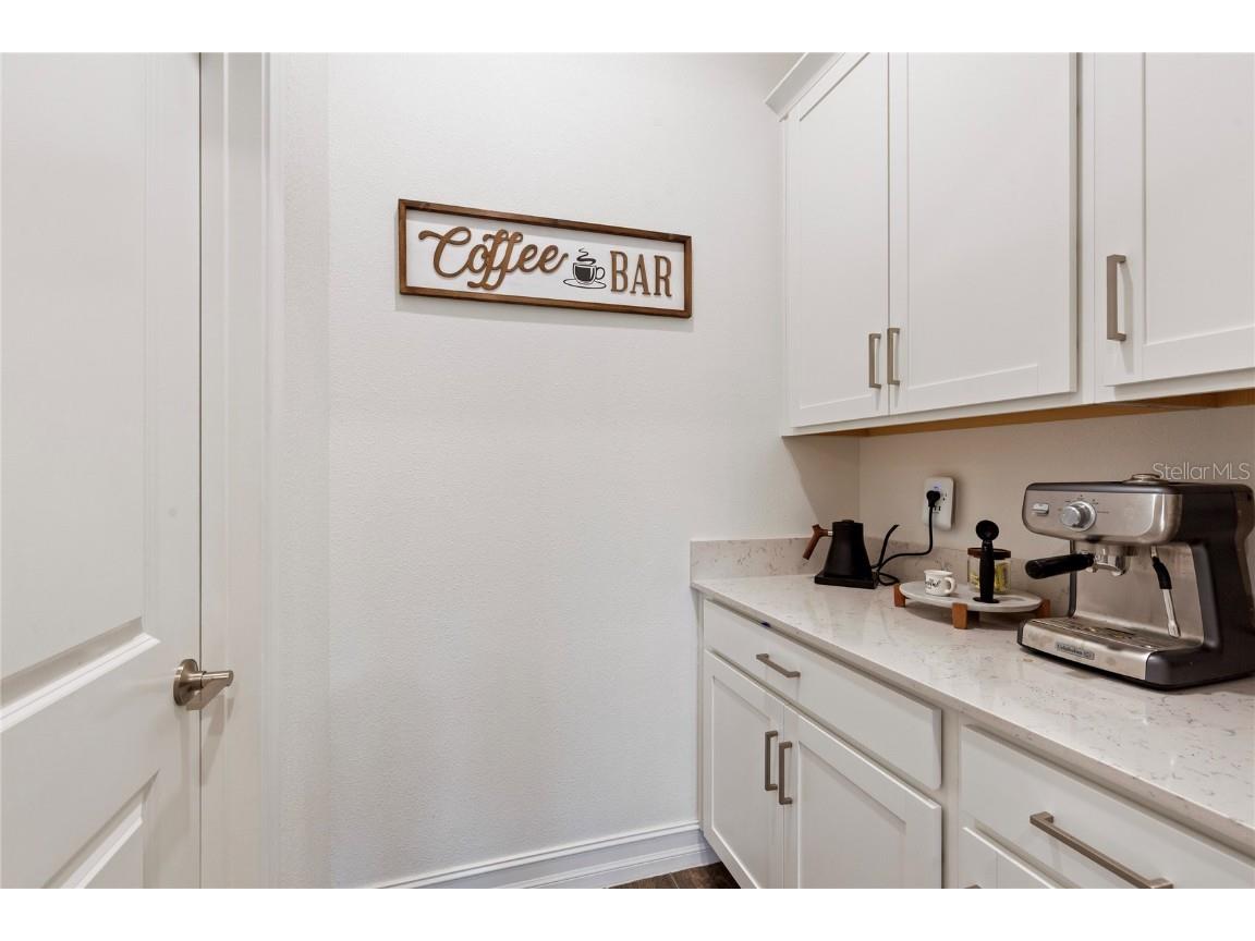 8692 Little Bluestem Drive Land O Lakes FL 34637 TB8446493 image26