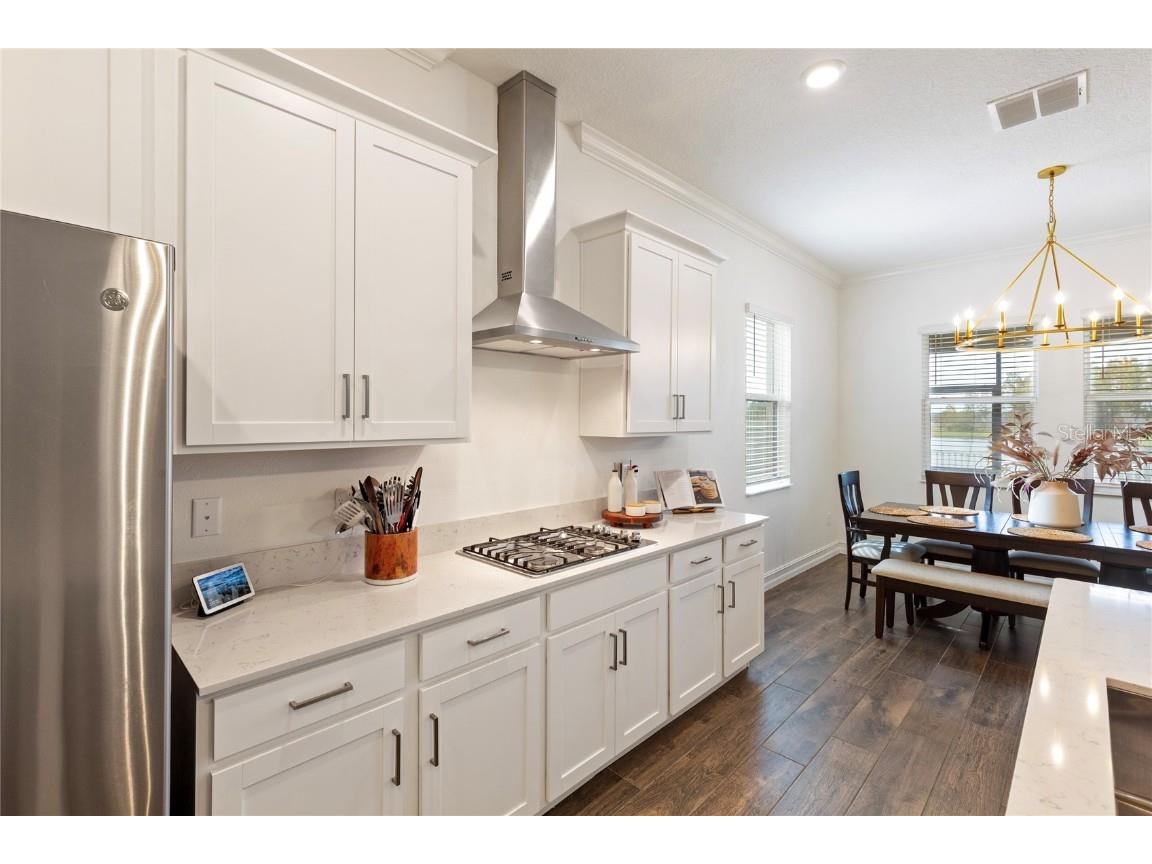 8692 Little Bluestem Drive Land O Lakes FL 34637 TB8446493 image28