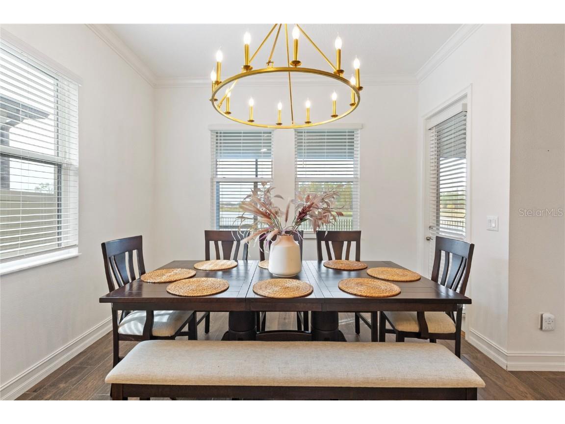 8692 Little Bluestem Drive Land O Lakes FL 34637 TB8446493 image29