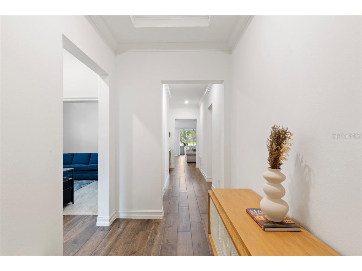 8692 Little Bluestem Drive Land O Lakes FL 34637 TB8446493 image3