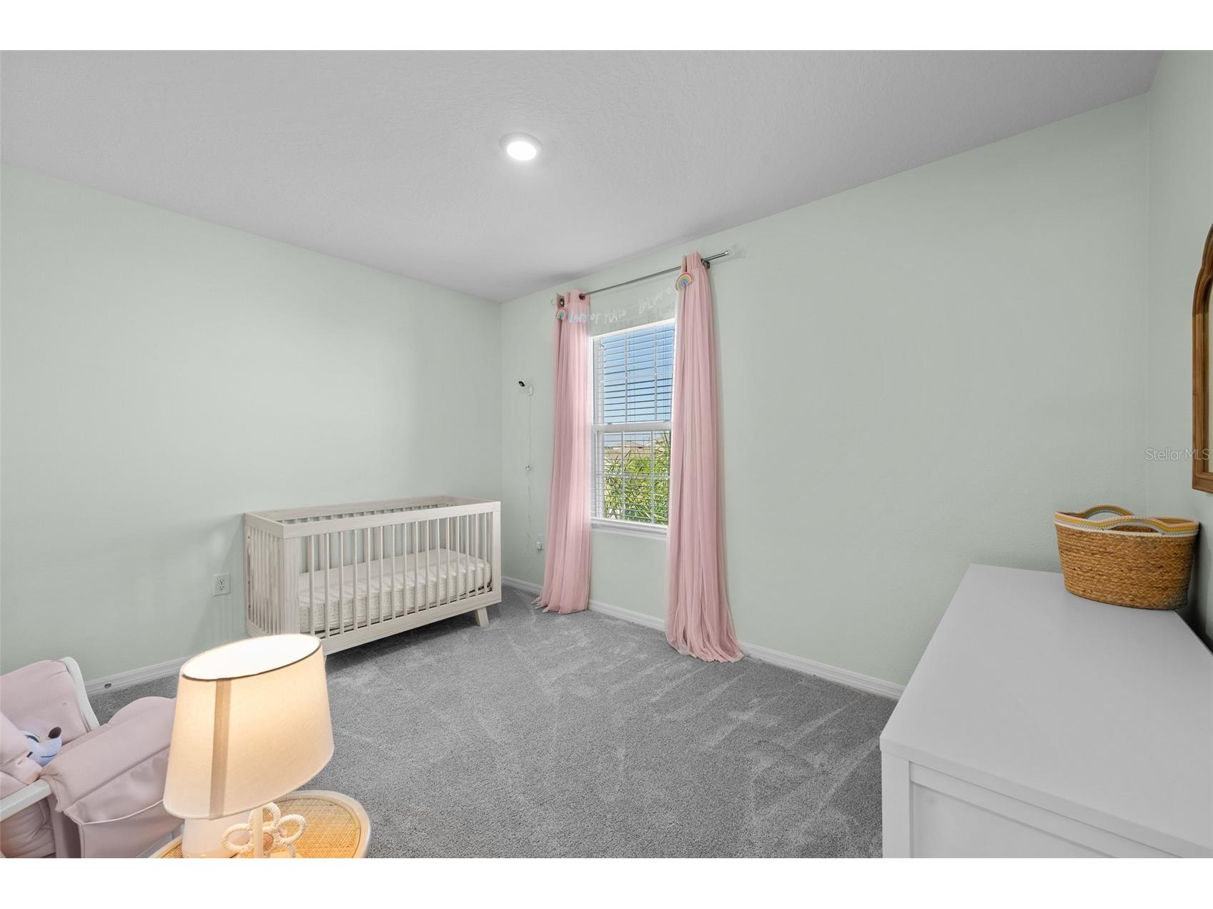 8693 Bower Bass Circle Wesley Chapel FL 33545 TB8498851 image28