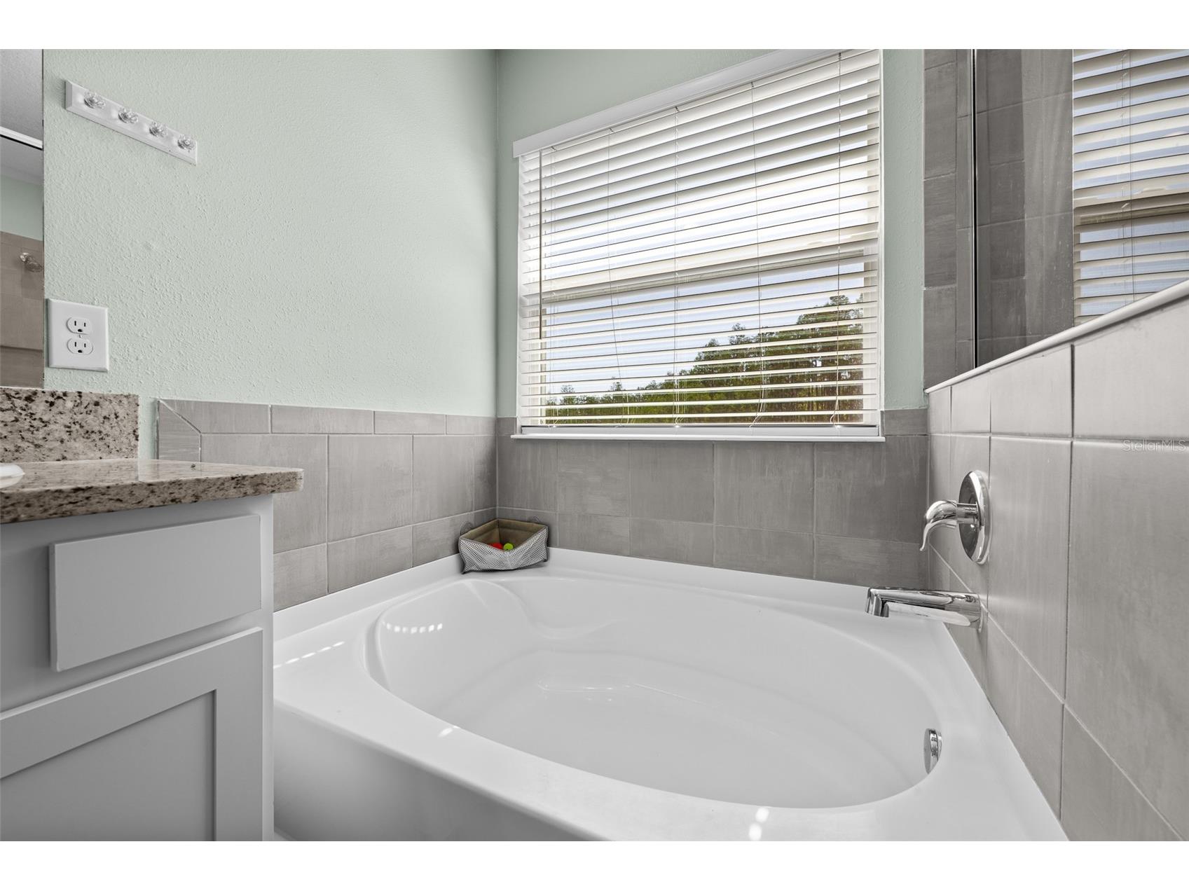 8693 Bower Bass Circle Wesley Chapel FL 33545 TB8498851 image35