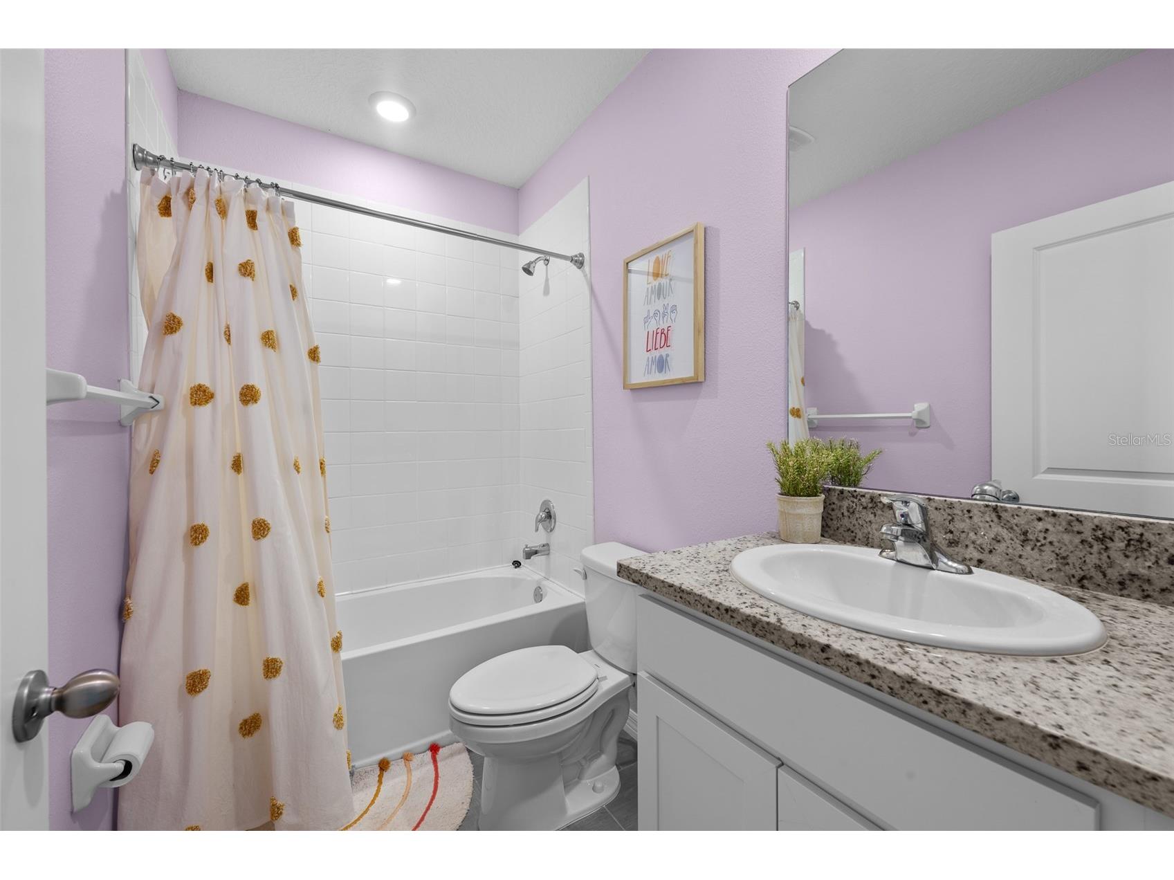 8693 Bower Bass Circle Wesley Chapel FL 33545 TB8498851 image41