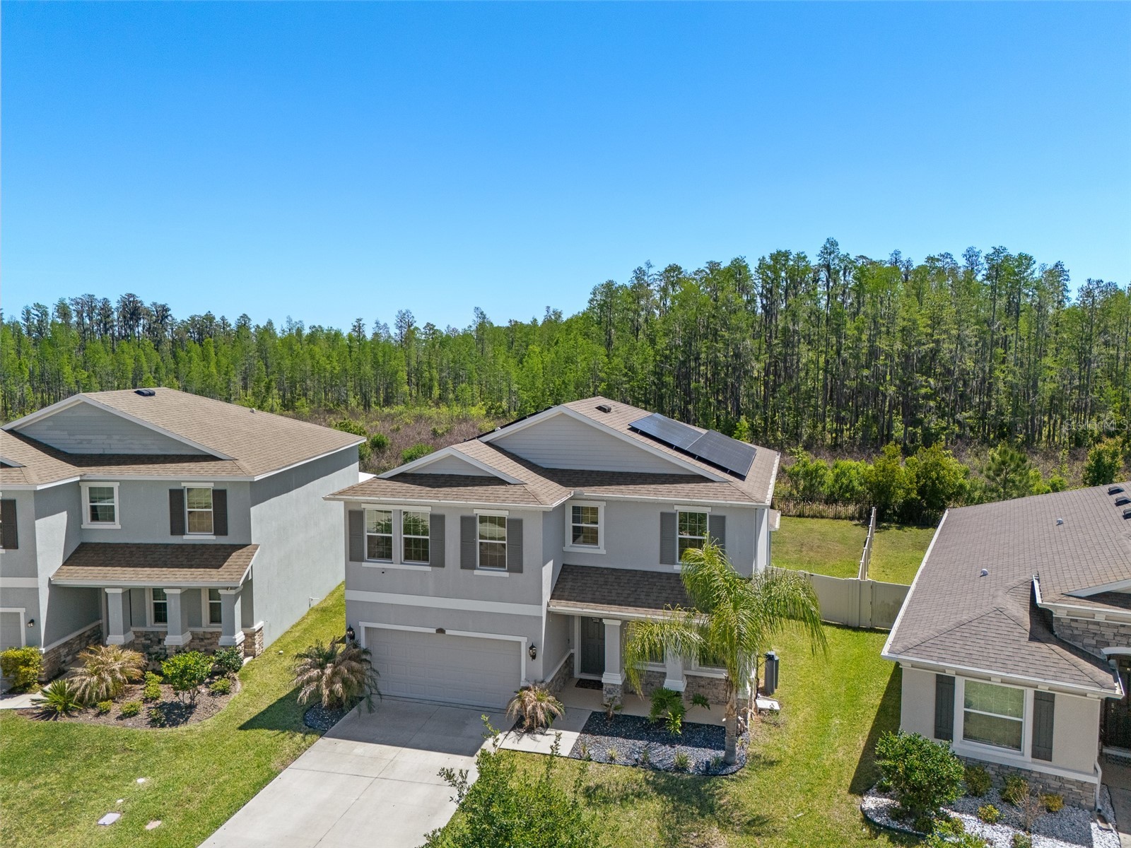 8693 Bower Bass Circle Wesley Chapel FL 33545 TB8498851 image54