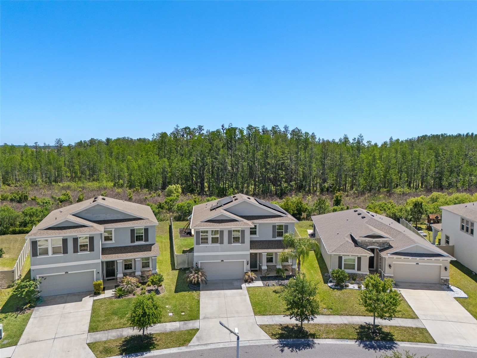 8693 Bower Bass Circle Wesley Chapel FL 33545 TB8498851 image55