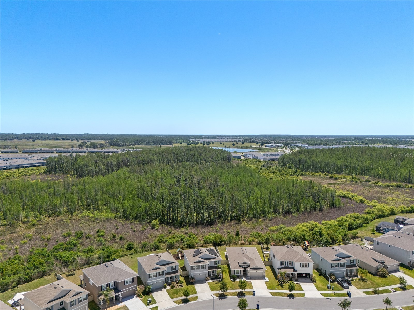 8693 Bower Bass Circle Wesley Chapel FL 33545 TB8498851 image57