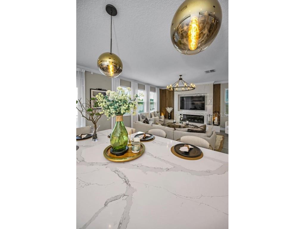 8695 Winning Fields Road New Port Richey FL 34655 W7879233 image40