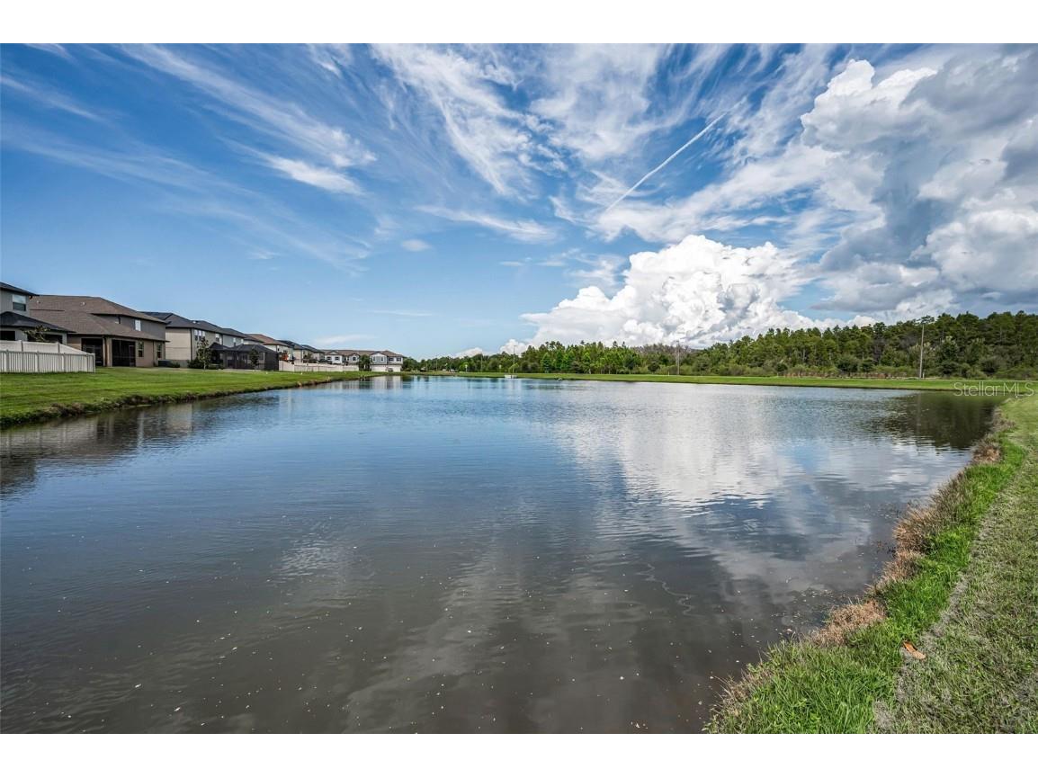 8695 Winning Fields Road New Port Richey FL 34655 W7879233 image53