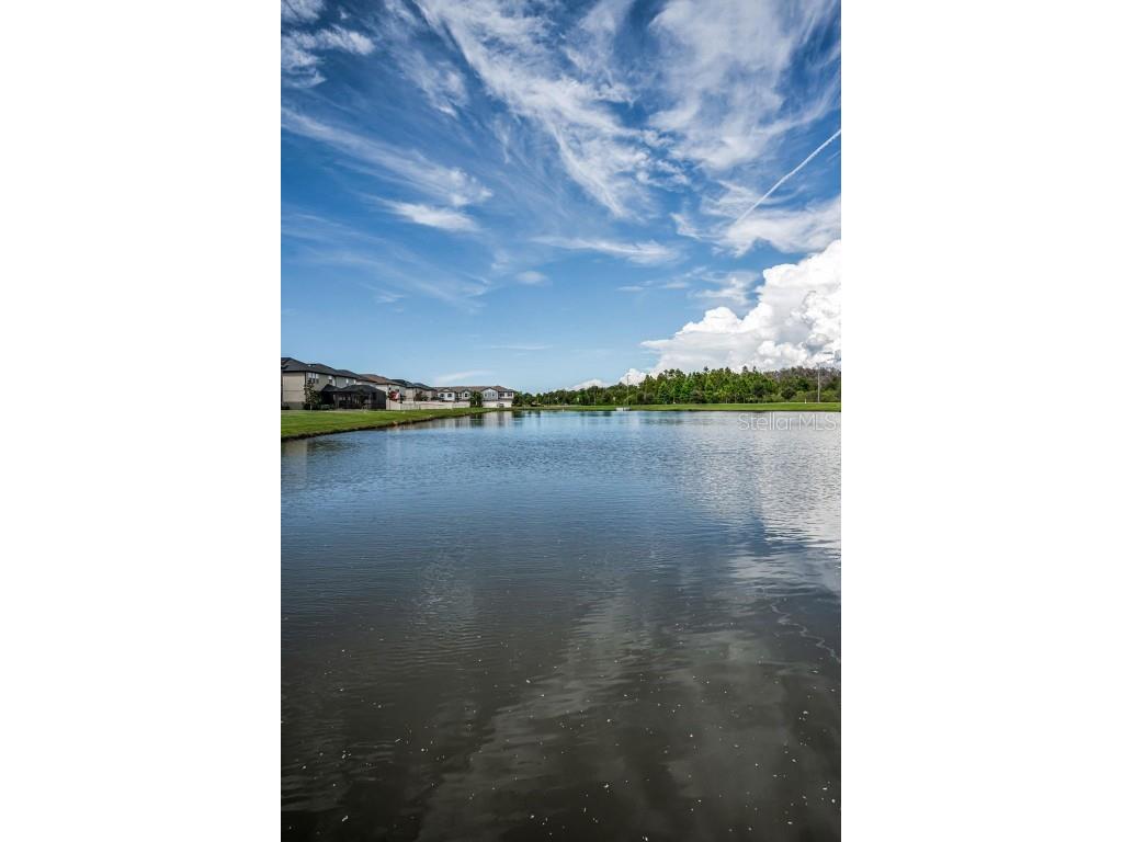 8695 Winning Fields Road New Port Richey FL 34655 W7879233 image54