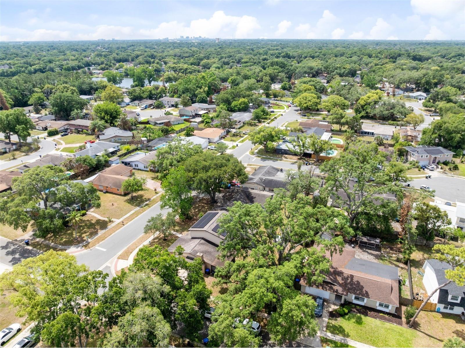 8698 Hillside Drive Orlando FL 32810 O6407316 image38