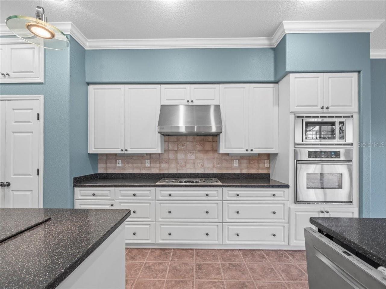 8698 Mississippi Run Weeki Wachee FL 34613 W7877900 image15
