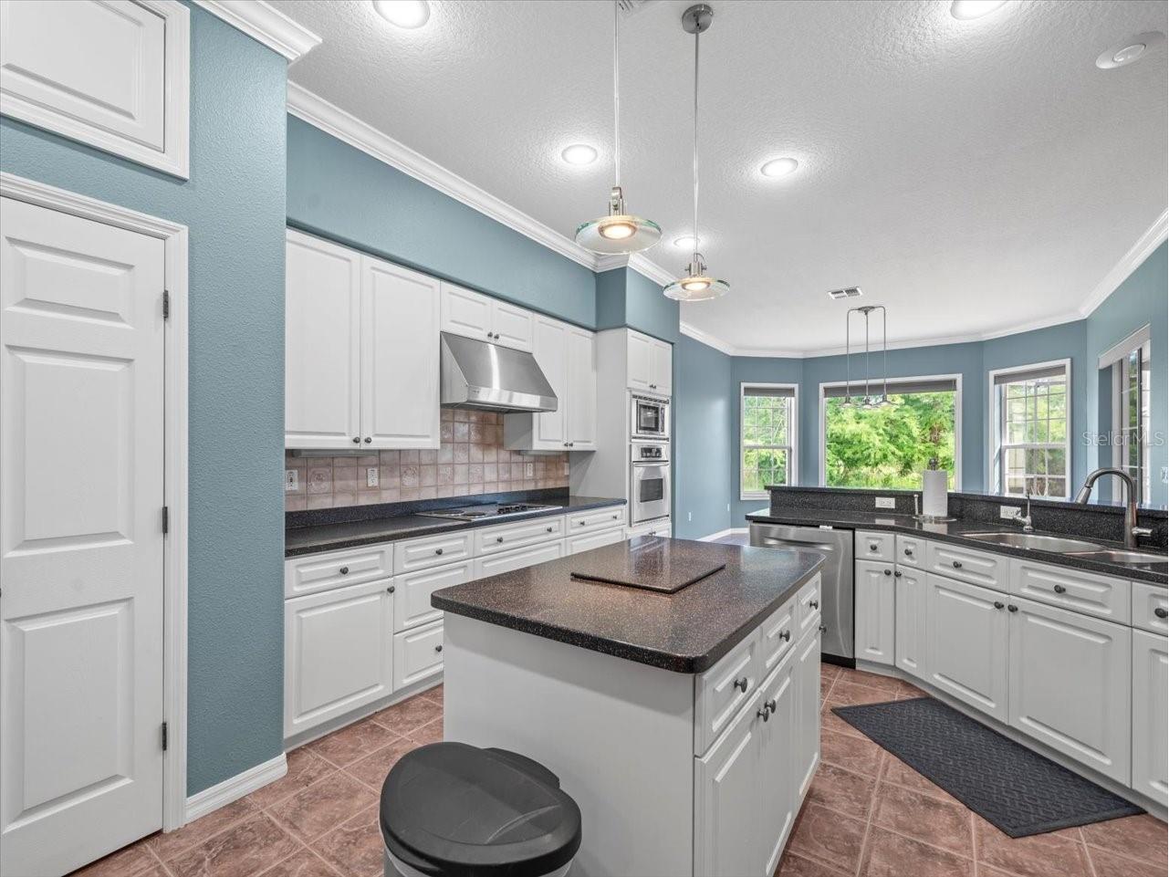 8698 Mississippi Run Weeki Wachee FL 34613 W7877900 image16