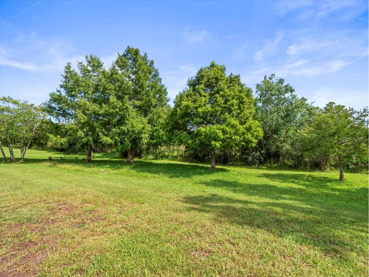 8698 Mississippi Run Weeki Wachee FL 34613 W7877900 image46