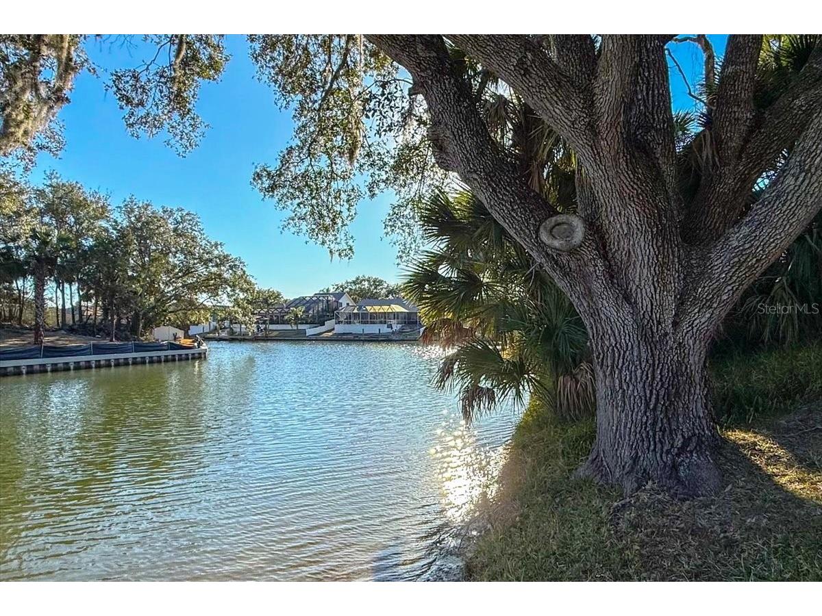 87 Covington Lane Palm Coast FL 32137 FC315902 image2