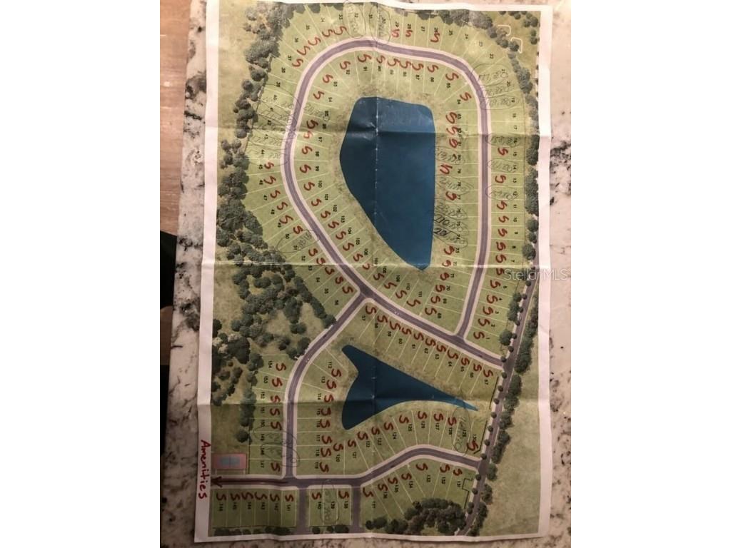 87 Del Palma Drive Palm Coast FL 32137 OM699639 image6