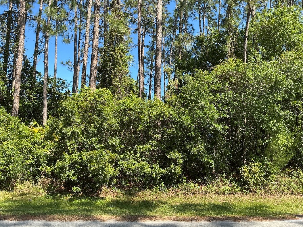 87 Eric Drive Palm Coast FL 32164 OM703030 image1