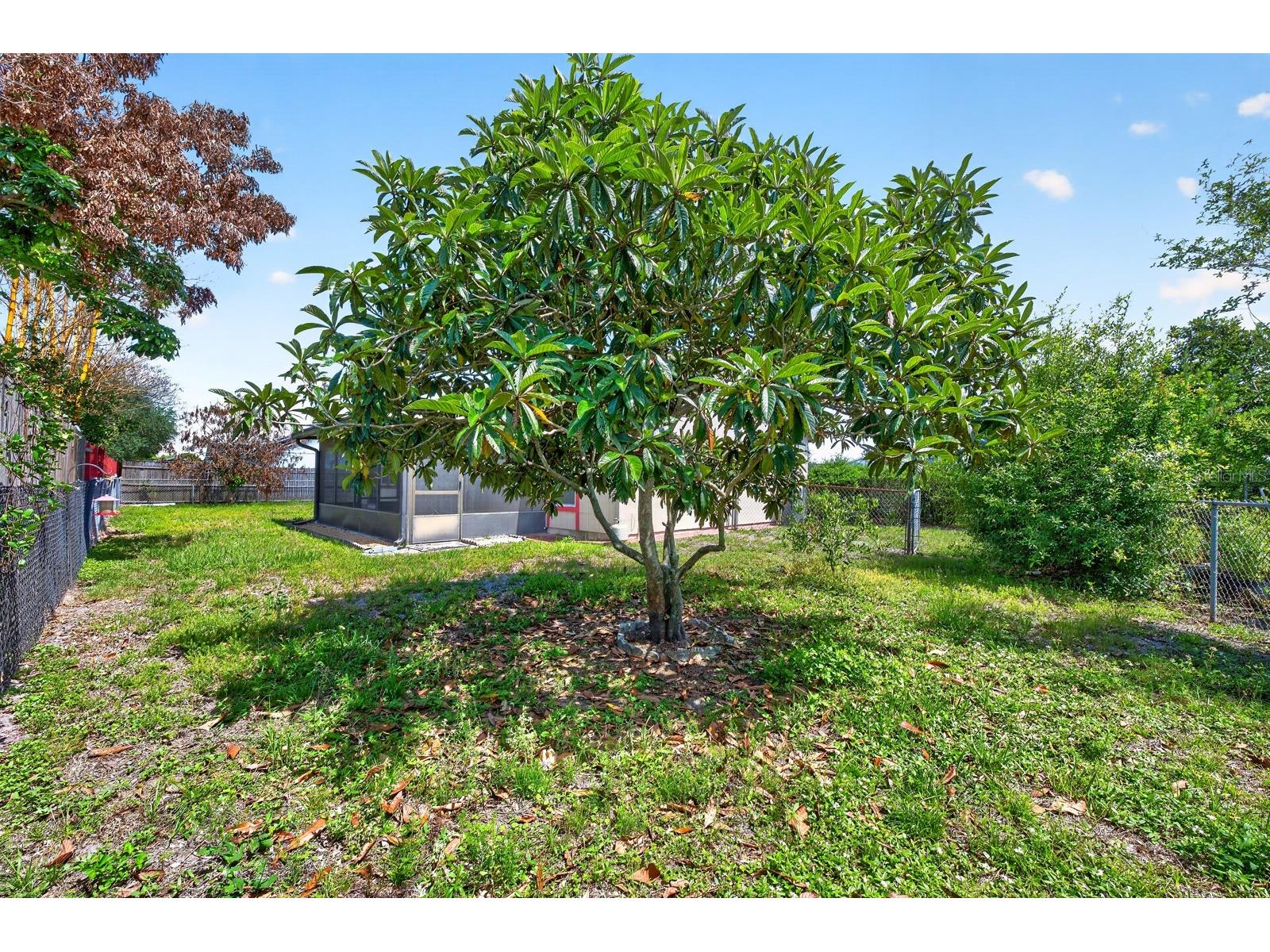 87 Florida Parkway Kissimmee FL 34743 O6405038 image25
