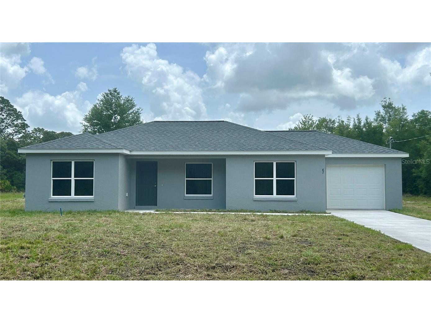 87 Guava Pass Drive Ocklawaha FL 32179 OM699250 image1