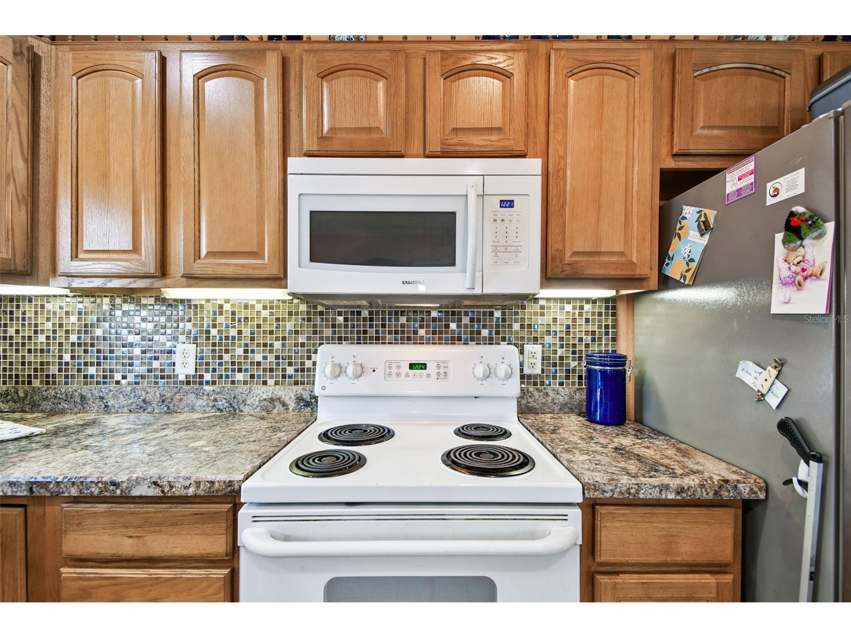 87 Lone Star Street Umatilla FL 32784 O6350668 image15