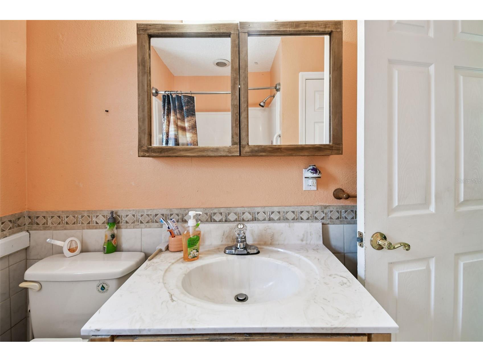 87 Lone Star Street Umatilla FL 32784 O6350668 image41