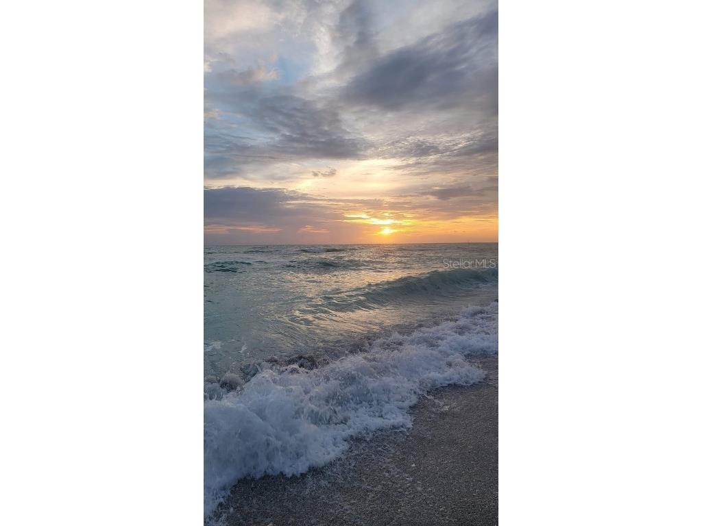 87 Mark Twain Lane Rotonda West FL 33947 D6142645 image23