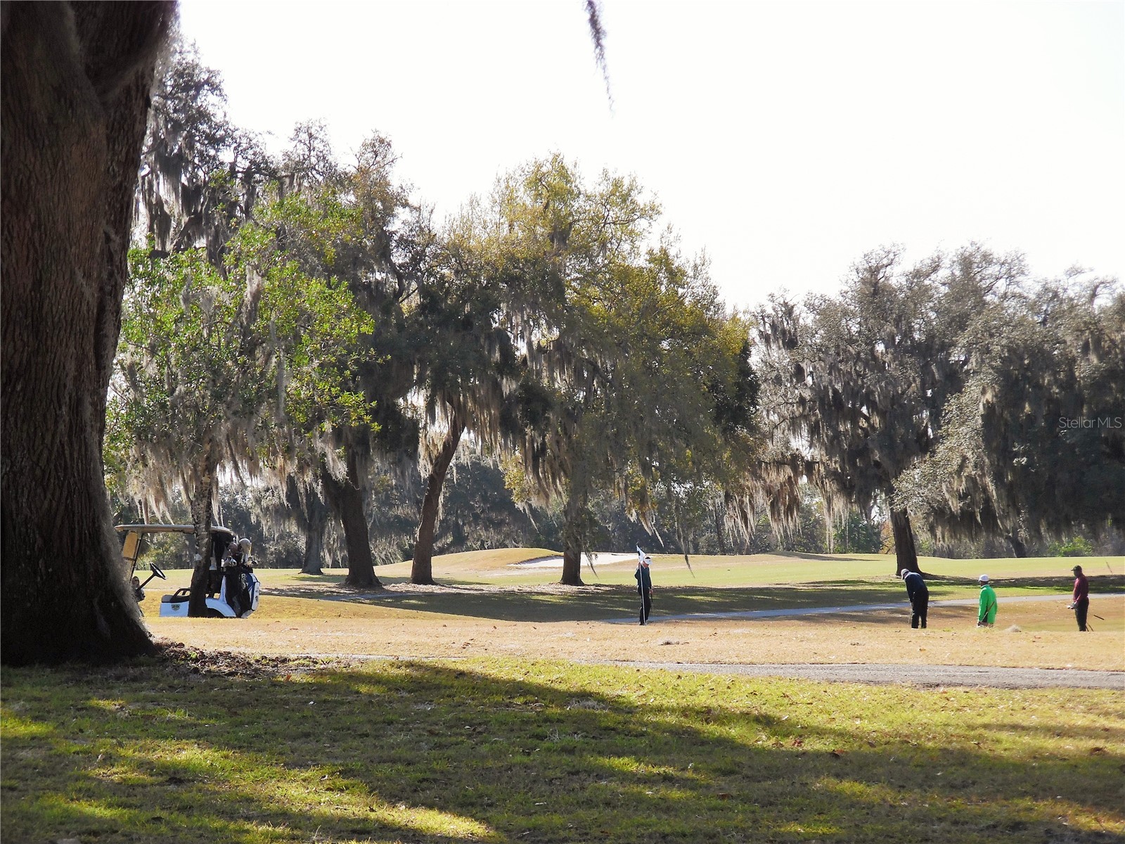 87 N Bobwhite Road Wildwood FL 34785 G5112210 image39