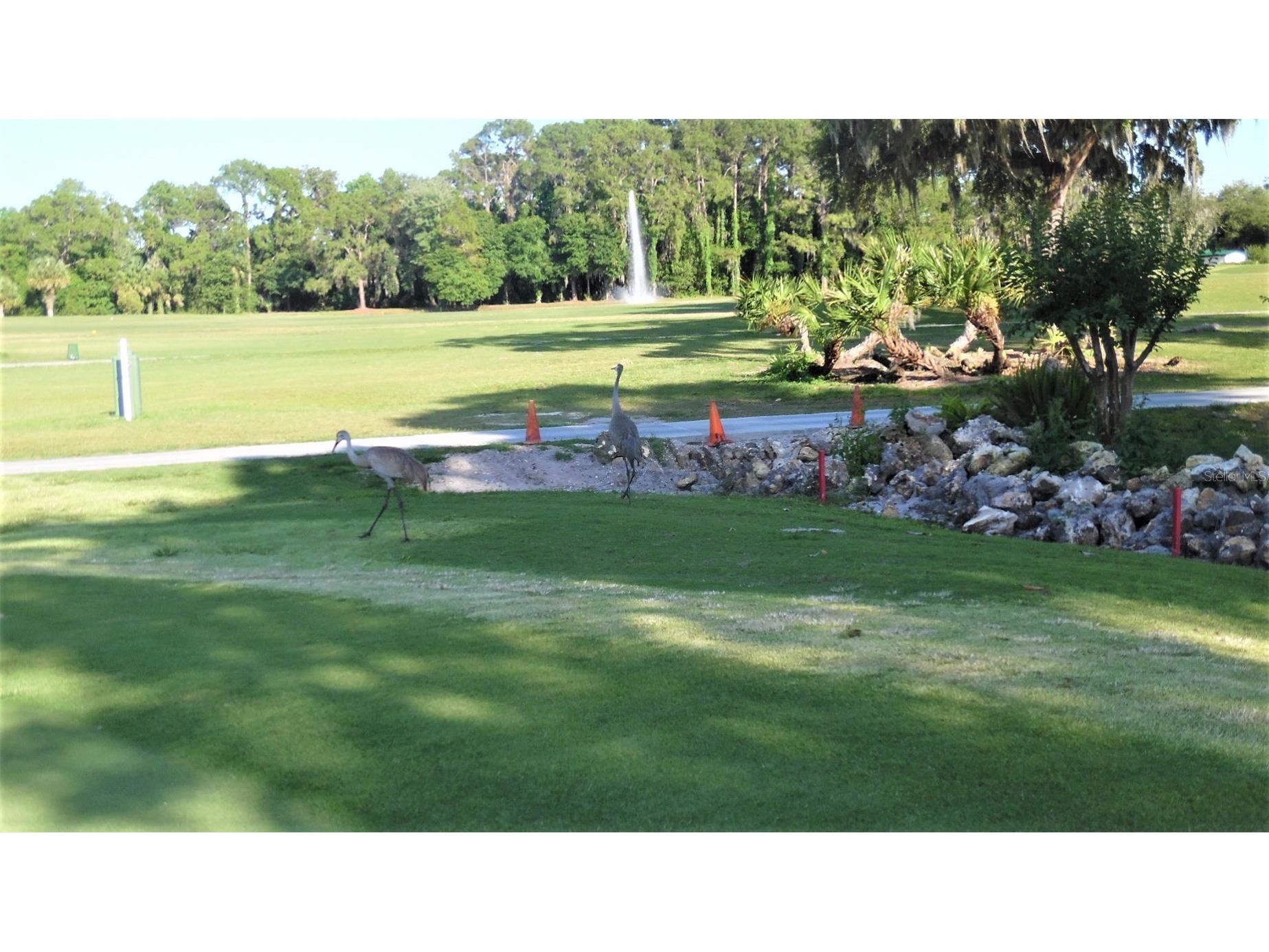 87 N Bobwhite Road Wildwood FL 34785 G5112210 image42