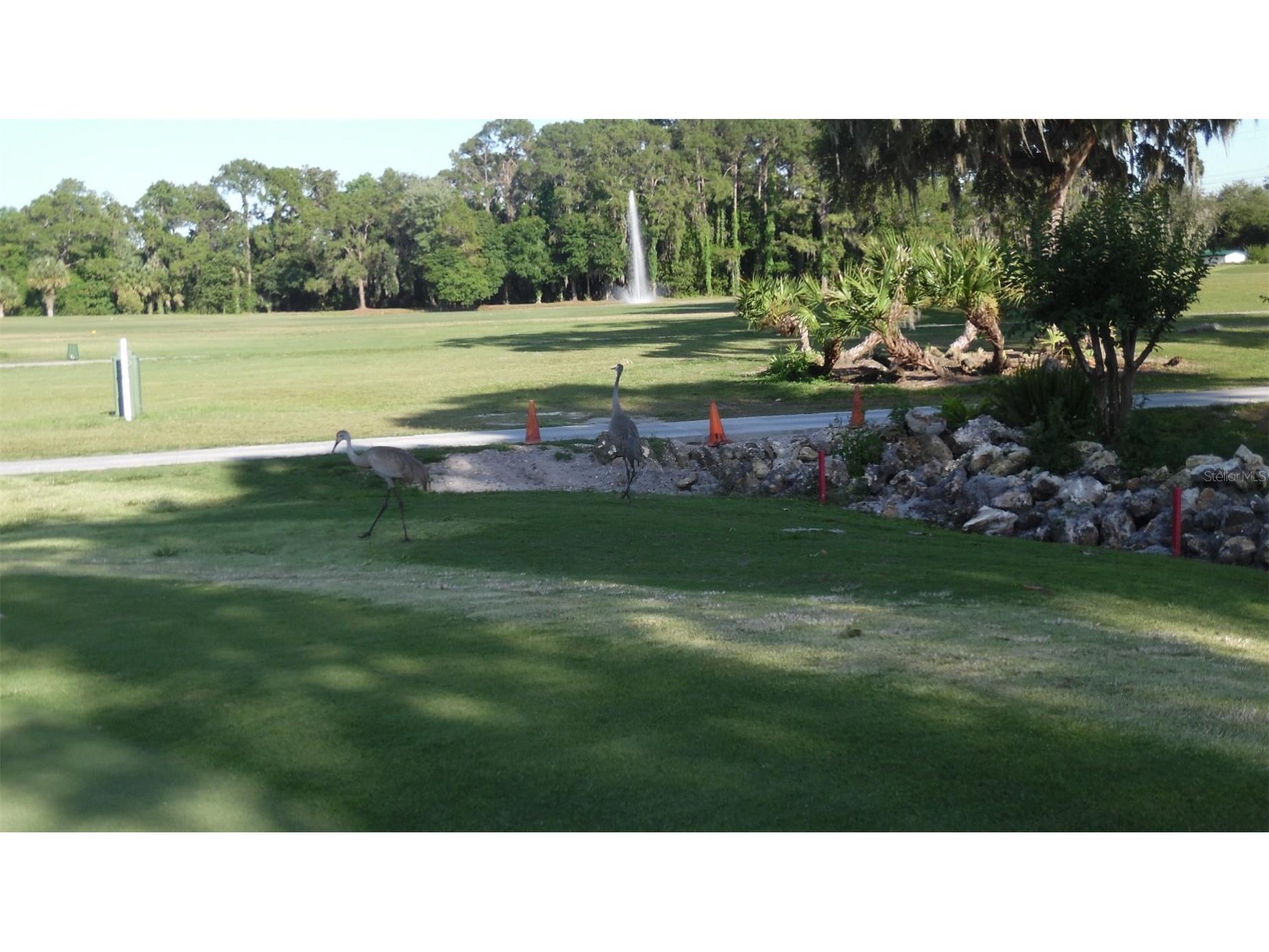 87 N Bobwhite Road Wildwood FL 34785 G5112210 image43
