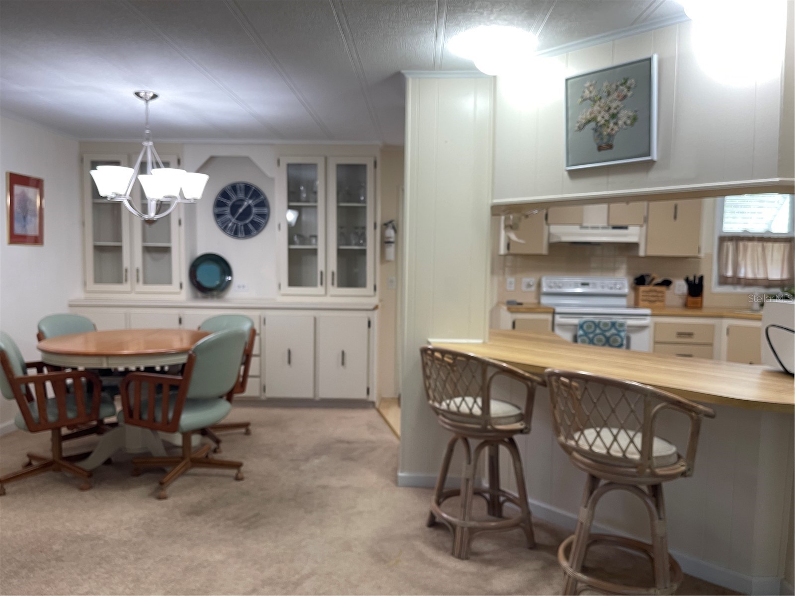 87 N Bobwhite Road Wildwood FL 34785 G5112210 image8