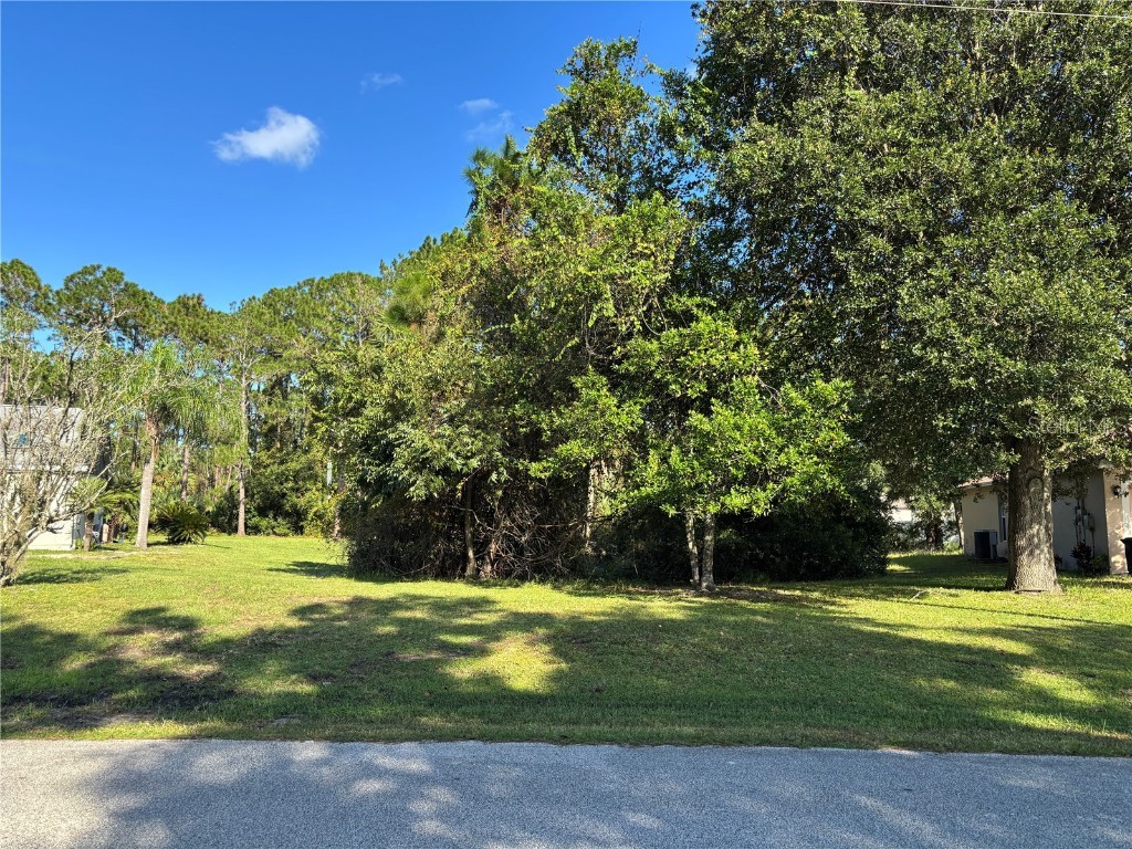 87 Pheasant Drive Palm Coast FL 32164 V4944932 image1