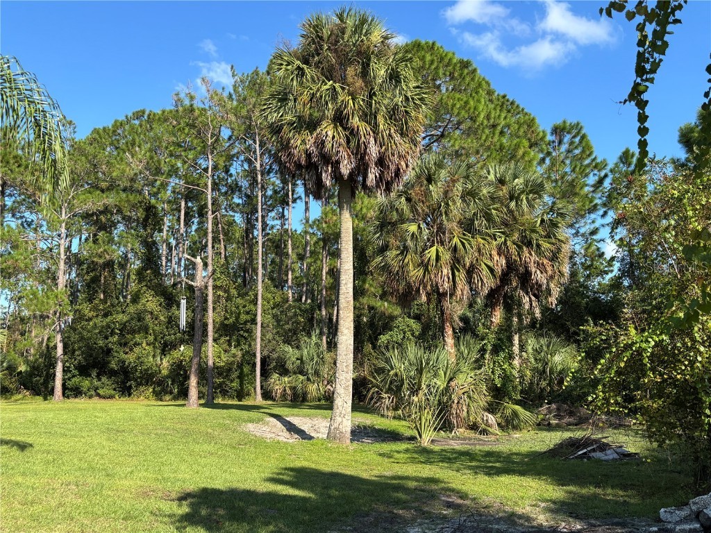 87 Pheasant Drive Palm Coast FL 32164 V4944932 image2