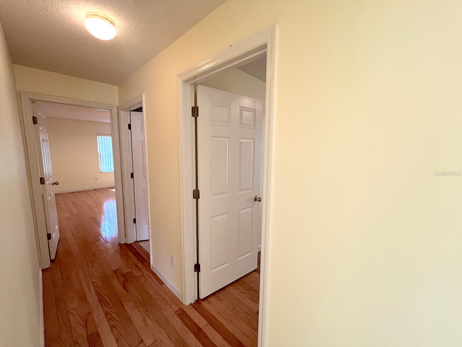 87 Rose Drive Palm Coast FL 32164 FC318941 image38