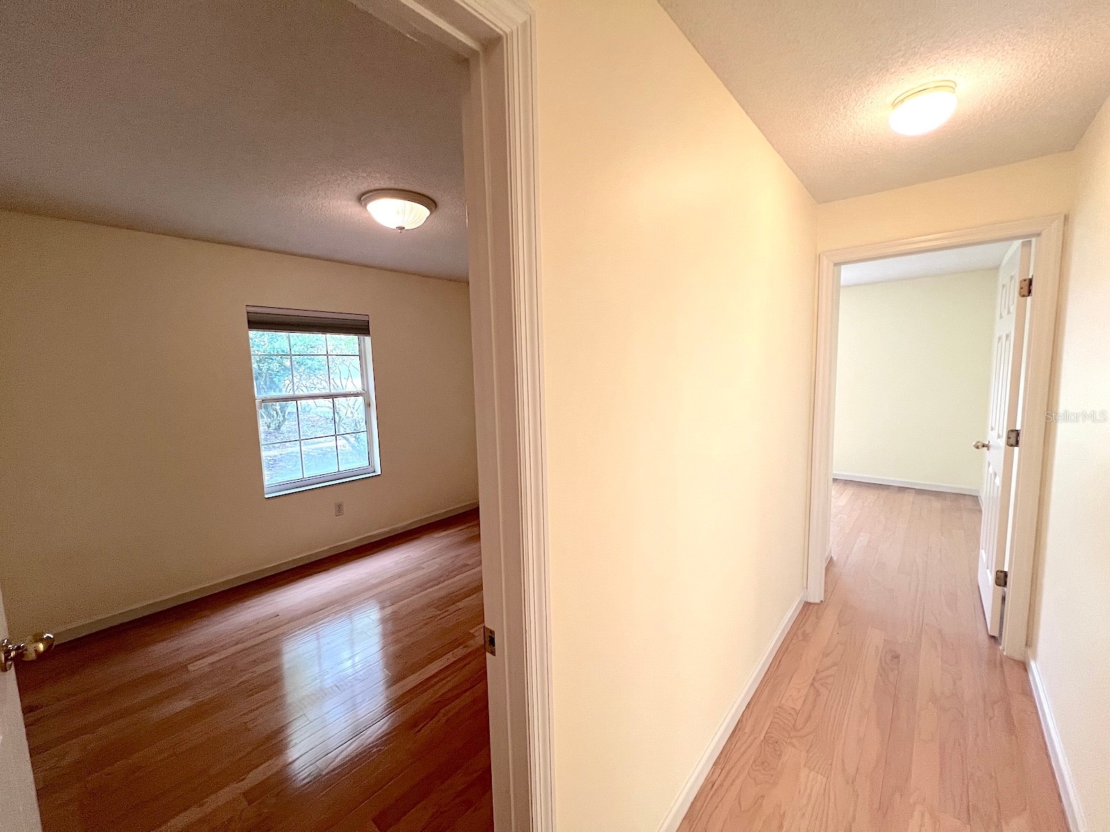 87 Rose Drive Palm Coast FL 32164 FC318941 image39